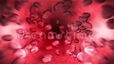 人体循环系统。 人血管3红细胞D环<strong>动画</strong>。 <strong>医疗</strong>保健符号..